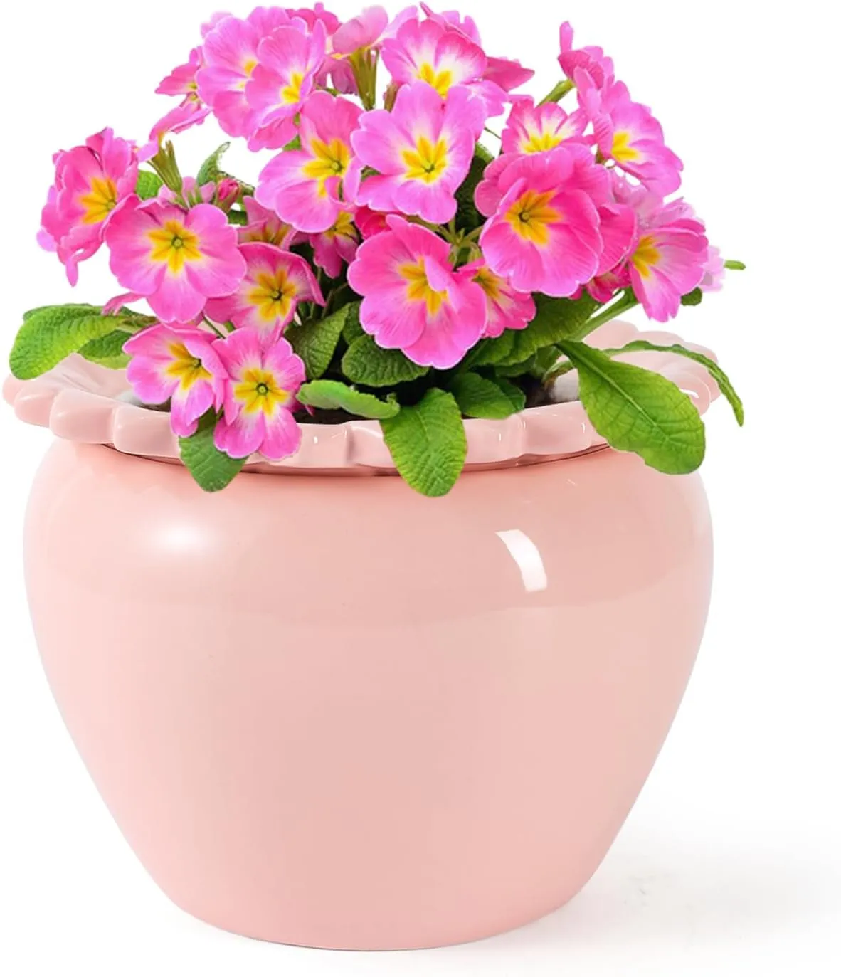 8in Pink Ceramic Self Watering Planter - Terracotta Maintenance Plant Seeder for Indoor African Violet Plants