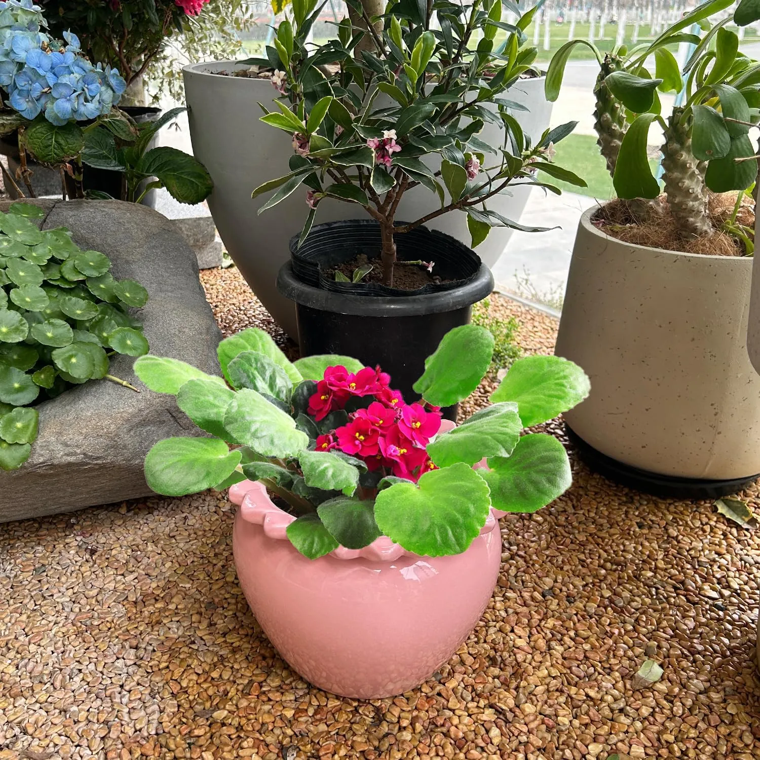 8in Pink Ceramic Self Watering Planter - Terracotta Maintenance Plant Seeder for Indoor African Violet Plants
