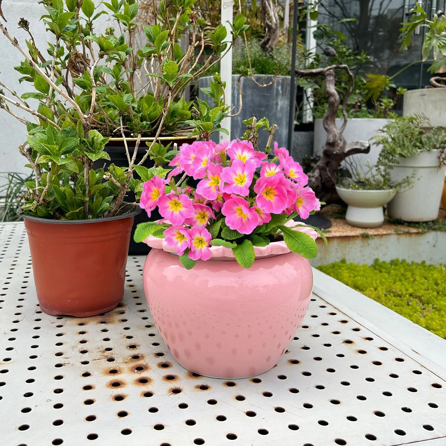 8in Pink Ceramic Self Watering Planter - Terracotta Maintenance Plant Seeder for Indoor African Violet Plants