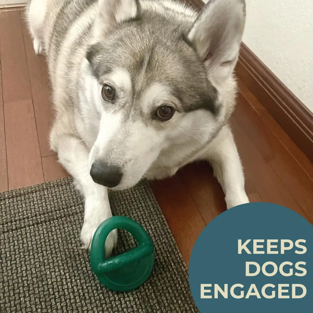 Alpha - Pacifier - Durable Long-Lasting Rubber Dog Fetch Chew Toy for Training - Choose Your Color - 6" L × 3" W × 4" H (Green)