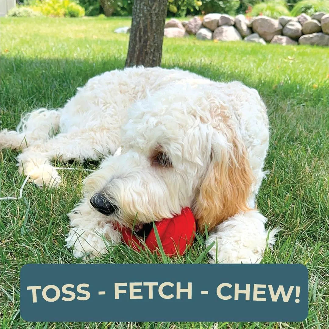 Alpha - Pacifier - Durable Long-Lasting Rubber Dog Fetch Chew Toy for Training - Choose Your Color - 6" L × 3" W × 4" H (Red)