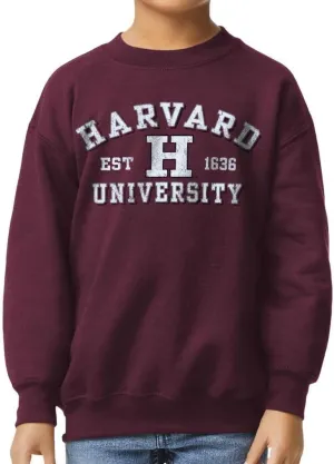 Barnesmith NCAA Unisex Youth Crewneck Sweatshirt, Vintage Logo, Color