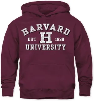Barnesmith NCAA Unisex Youth Hooded Sweatshirt, Vintage Logo, Color