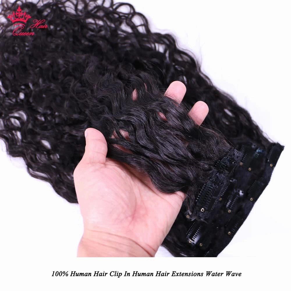 Clip in Hair Extensions for Black Women Water Wave Human Hair Clip in Hair Extensions Natural Black Color Full Head Brazilian Virgin Hair 8/Pcs with 18Clips 120 Gram / Set Queen Hair Products (14inches, Water Wave)