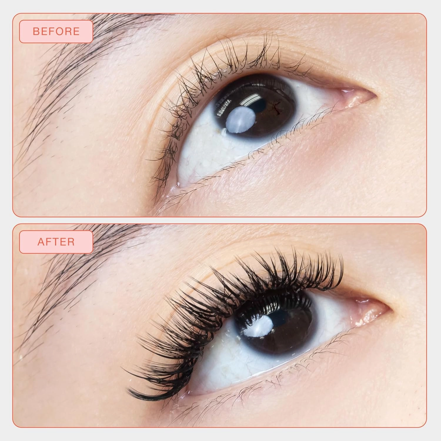 Curacoro LashFolio Wet Promade Fans, Handmade Volume Eyelashes, 5D To 10D, C CC D Curl, 0.03~0.07 mm, 8-13mm Mix Length, Professional Long-Lasting Promade Lash Fans (5D-0.07 CC 8mm-13mm)