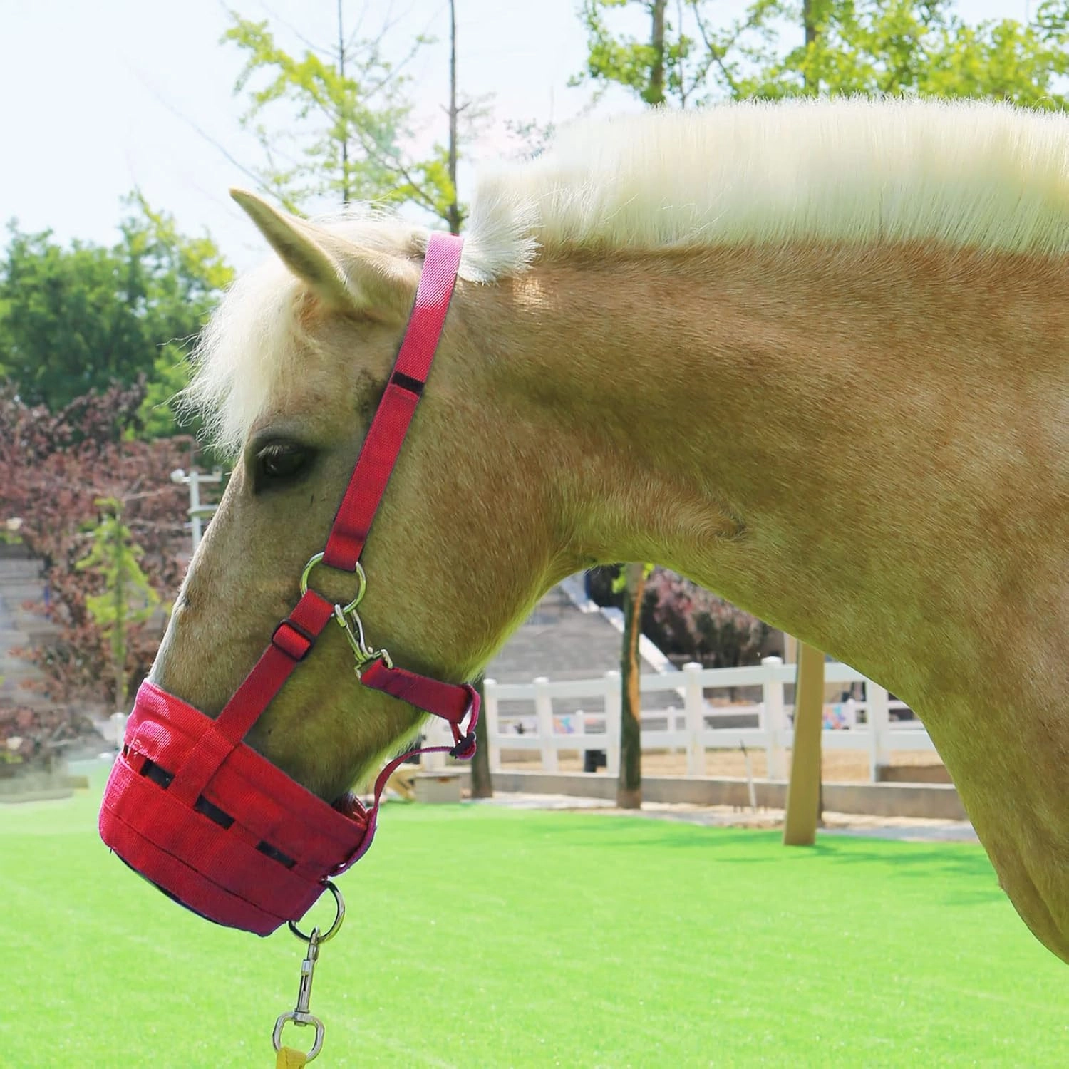 Harrison Howard Horse Grazing Muzzle Feed Bag Comfortable Breathable Horse Feeder with Adjustable Strap Red Medium