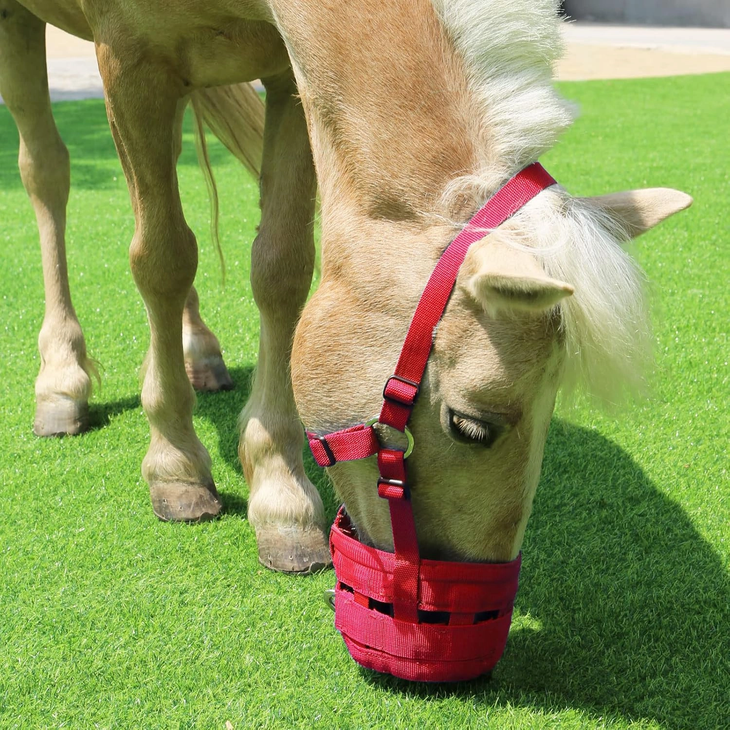 Harrison Howard Horse Grazing Muzzle Feed Bag Comfortable Breathable Horse Feeder with Adjustable Strap Red Medium