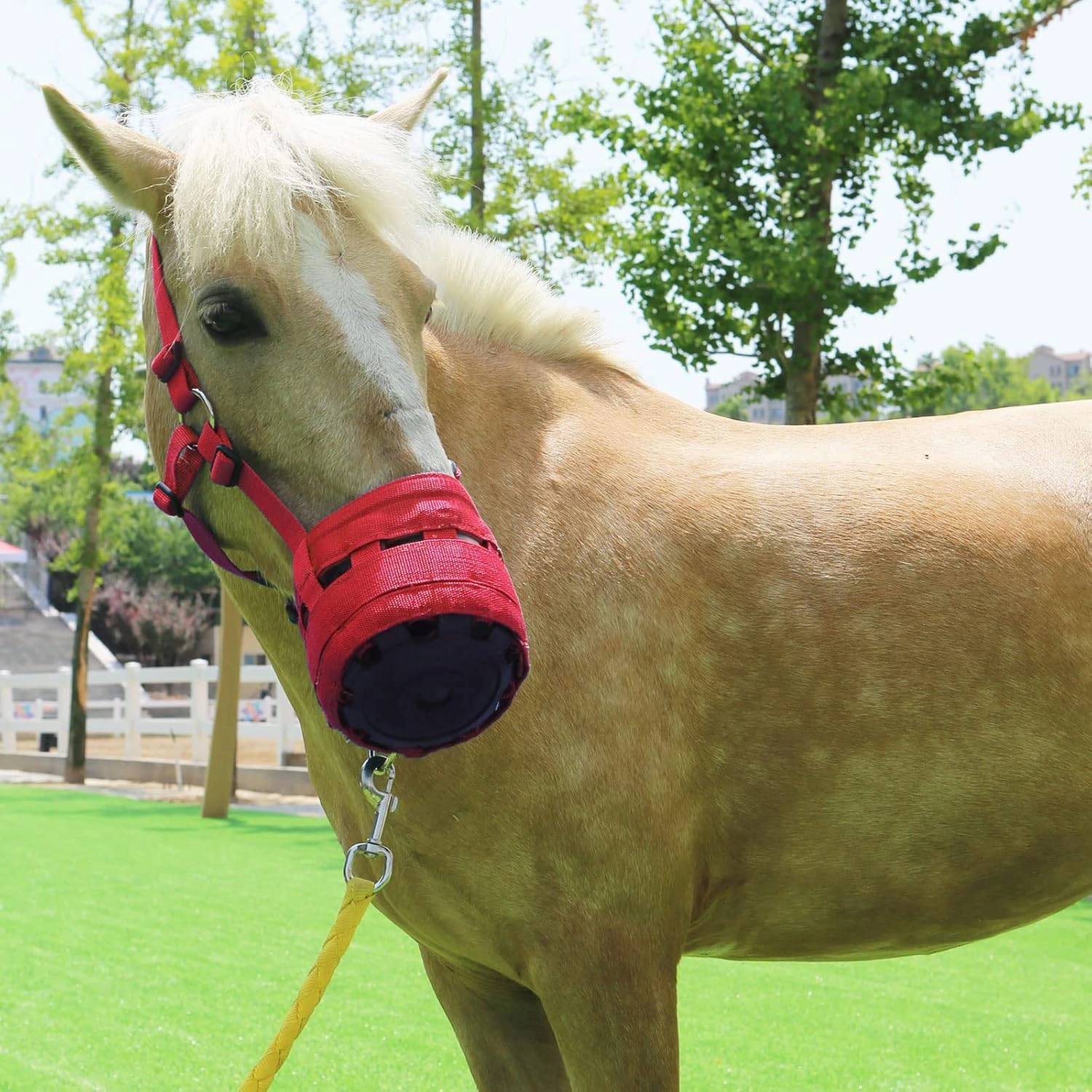 Harrison Howard Horse Grazing Muzzle Feed Bag Comfortable Breathable Horse Feeder with Adjustable Strap Red Medium