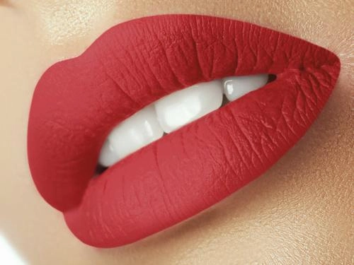 Lolita LACONIC Matte Liquid Lipstick: Burn Book (4