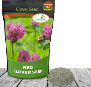 Outsidepride Perennial Red Clover Seeds - 2 lbs. Self-Seeding, Nitrocoated, Inoculated Clover Seeds for Lawn, Yard, Forage, Pasture, Hay, Nitrogen Fixation, Soil Improvement & Crop Rotation Programs