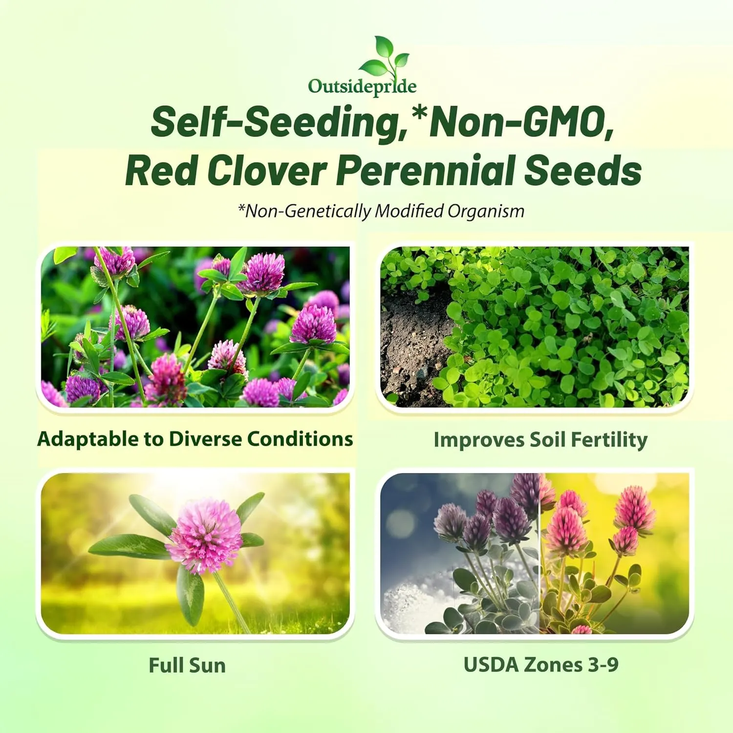 Outsidepride Perennial Red Clover Seeds - 5 lbs. Self-Seeding, Nitrocoated, Inoculated Clover Seeds for Lawn, Yard, Forage, Pasture, Hay, Nitrogen Fixation, Soil Improvement & Crop Rotation Programs