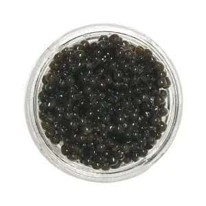 Royal Dark Beluga Hybrid Caviar - Huso/Baerii Sturgeon Roe - Giaveri Italian (16 ounce (450 grams))