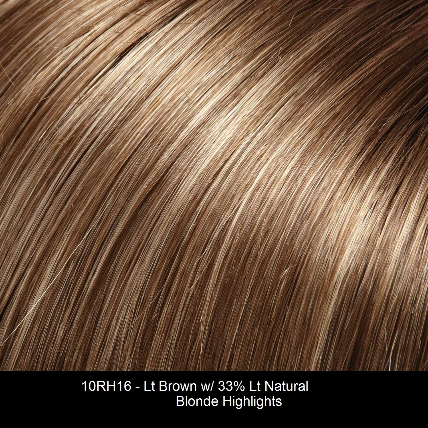 Zara Petite Lace Front & Monofilament Synthetic Wig by Jon Renau in 10RH16, Length: Long